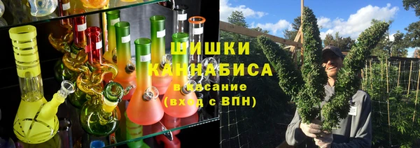 ПСИЛОЦИБИНОВЫЕ ГРИБЫ Яровое