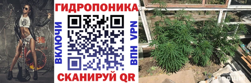 МАРИХУАНА планчик  Приморско-Ахтарск 